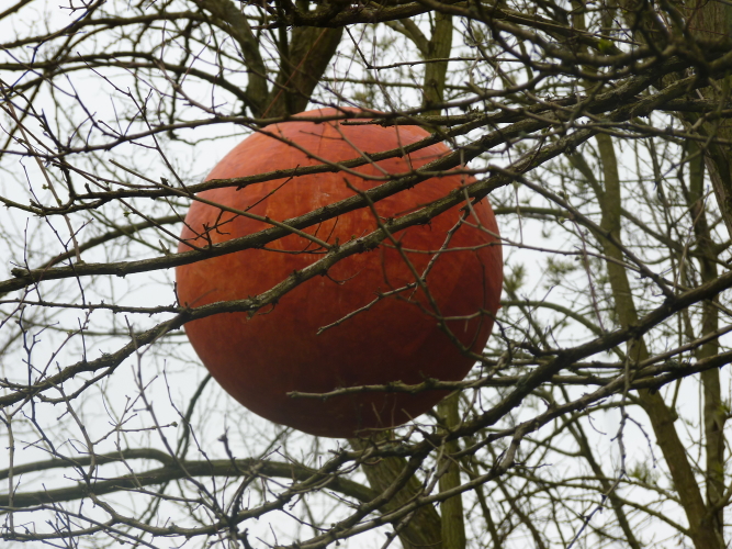 red ball